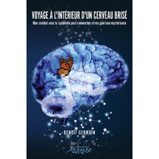 Voyage à l'intérieur d'un cerveau brisé | Récit d'un combat avec le syndrome post-commotion et d'une guérison - Benoit Germain