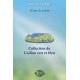 Collection du Caillou vert et bleu – Roch St-Onge